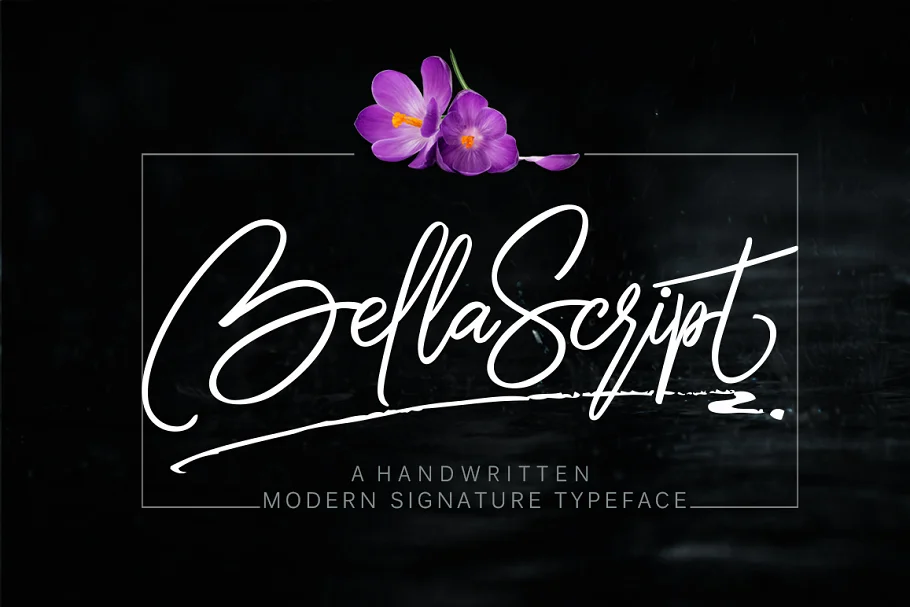 bella script Font Free Download - Itfonts.com